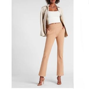 Express High Waisted Brushed Knit Pull-on Bootcut Pants Size Medium Petite